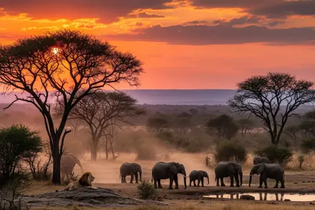 morning-safari